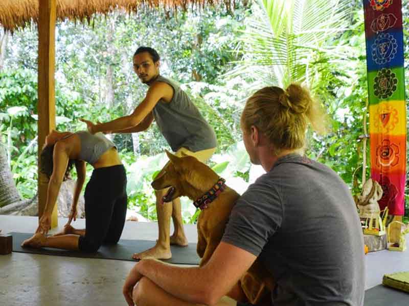 Firefly Yoga Retreat in Ubud