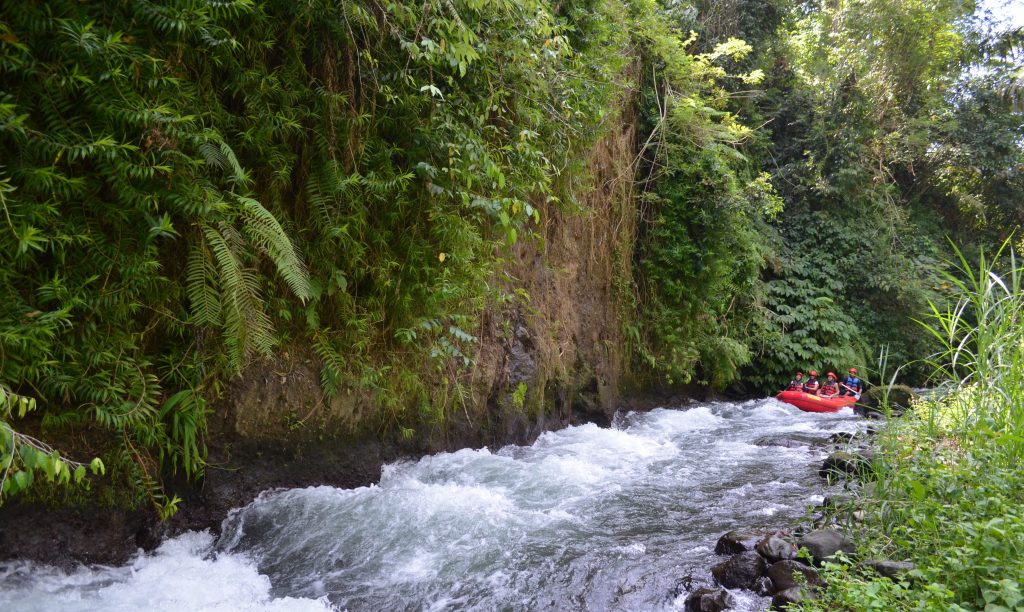 Ayung River white water rafting