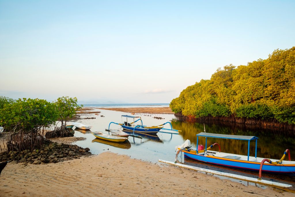 Mangrove Forest opening, Nusa Lembongan. Photo credit: Dinozzzaver (Shutterstock)