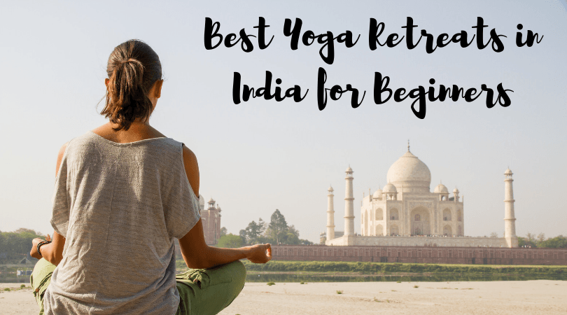 Best Yoga Retreats in India for Beginners