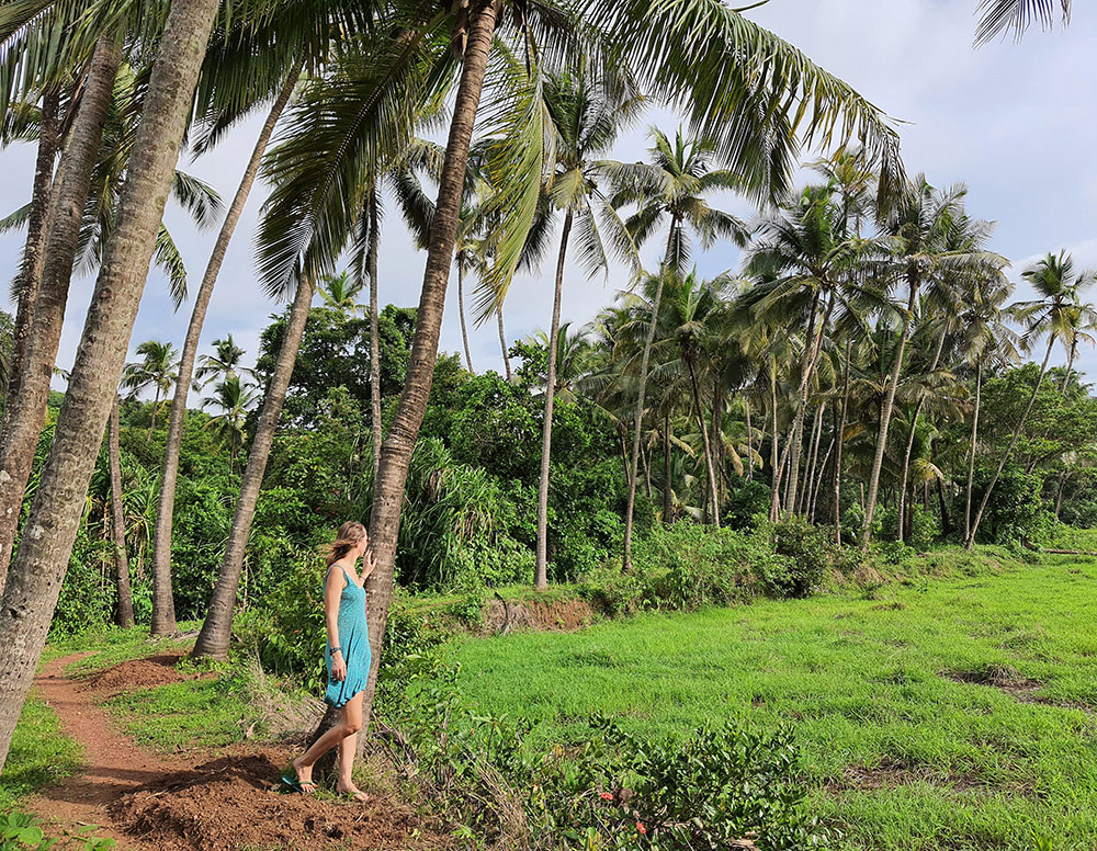 monsoon fields me