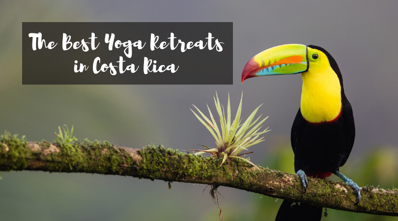 The Best Yoga Retreats in Costa Rica 2