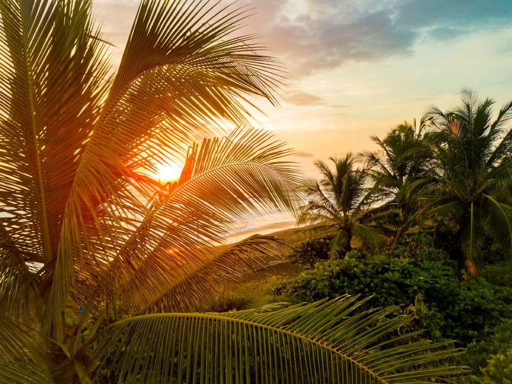 sunset on the beach in costa rica