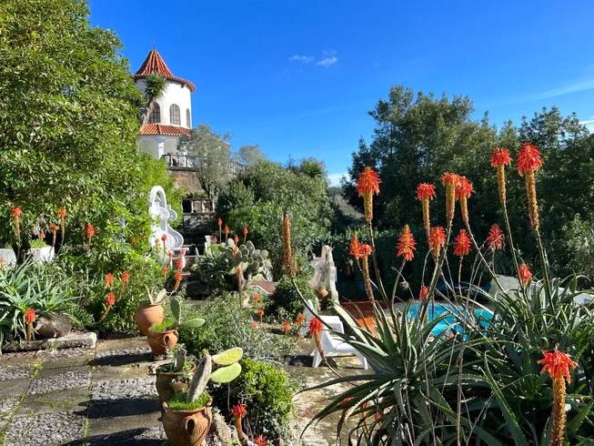 Buddha Retreats yoga in portugal