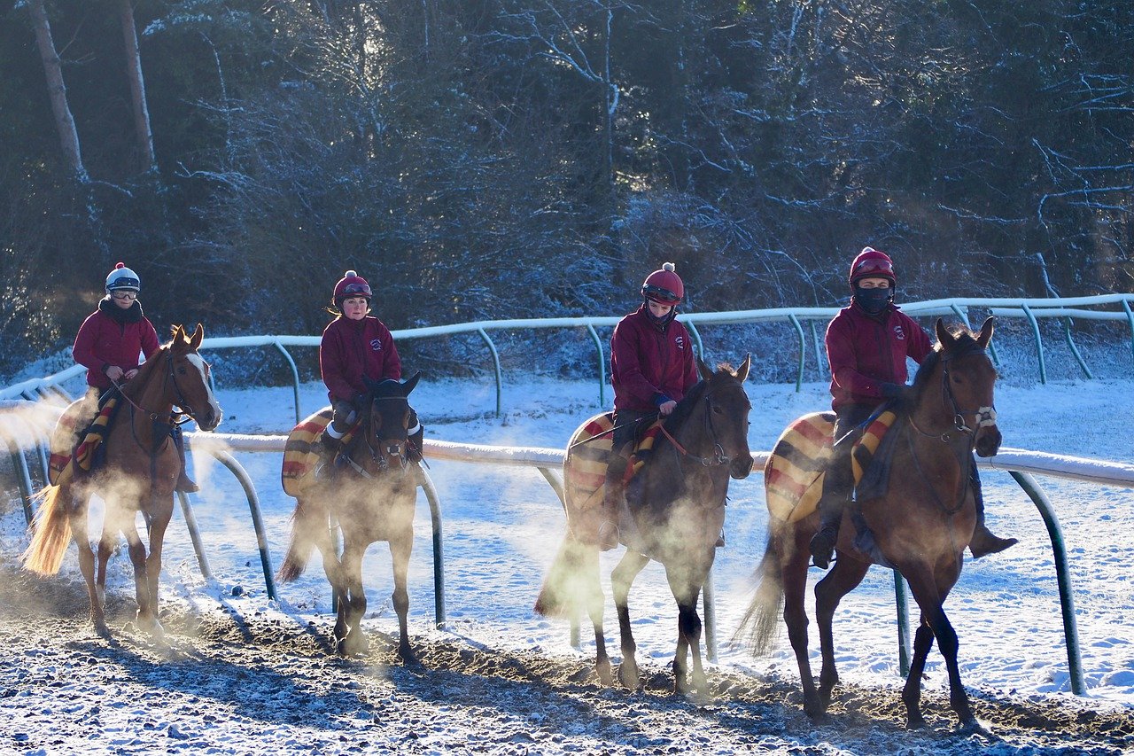 newmarket horses gallops suffolk