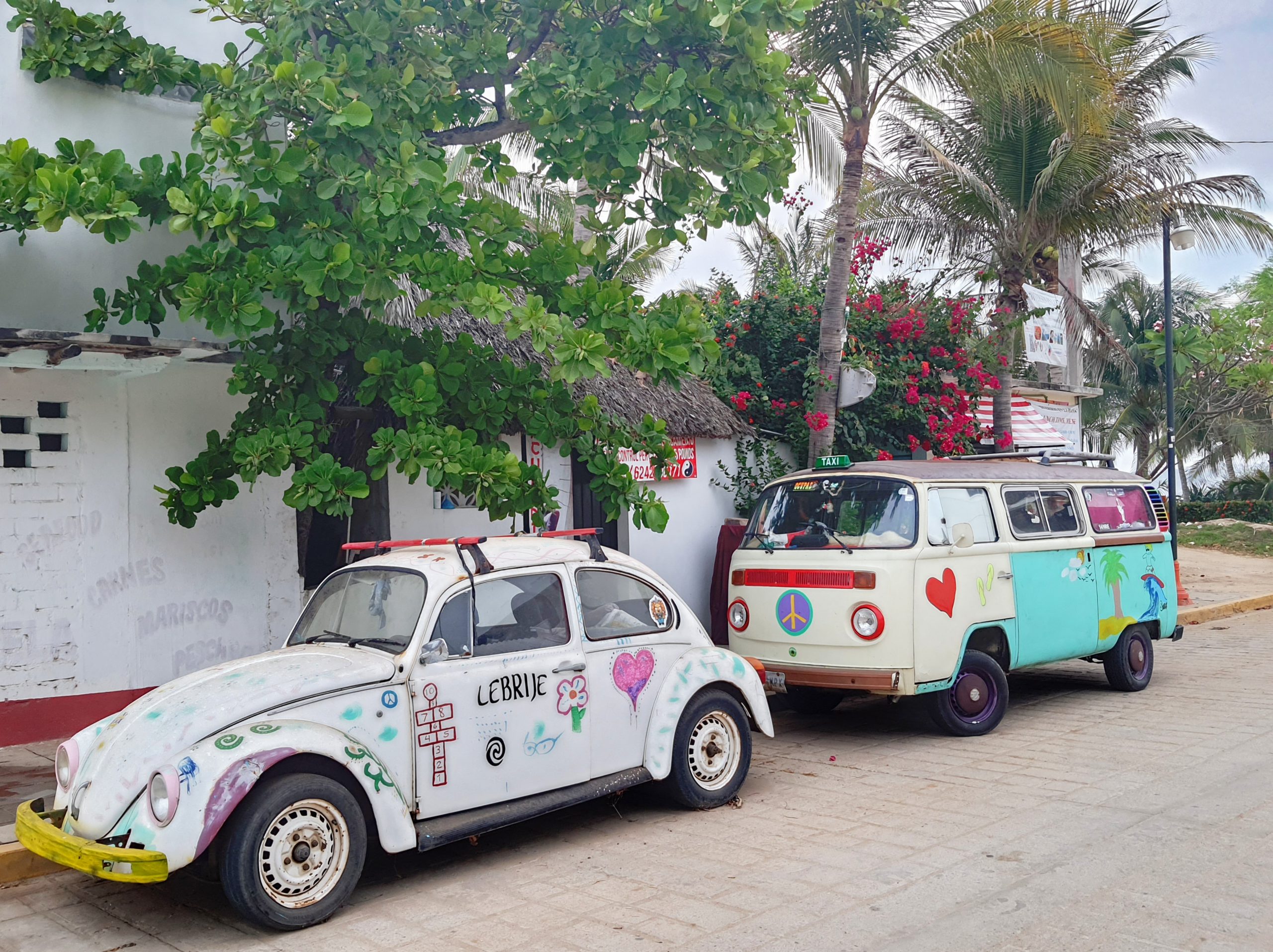 vw beetles and campervans mexico