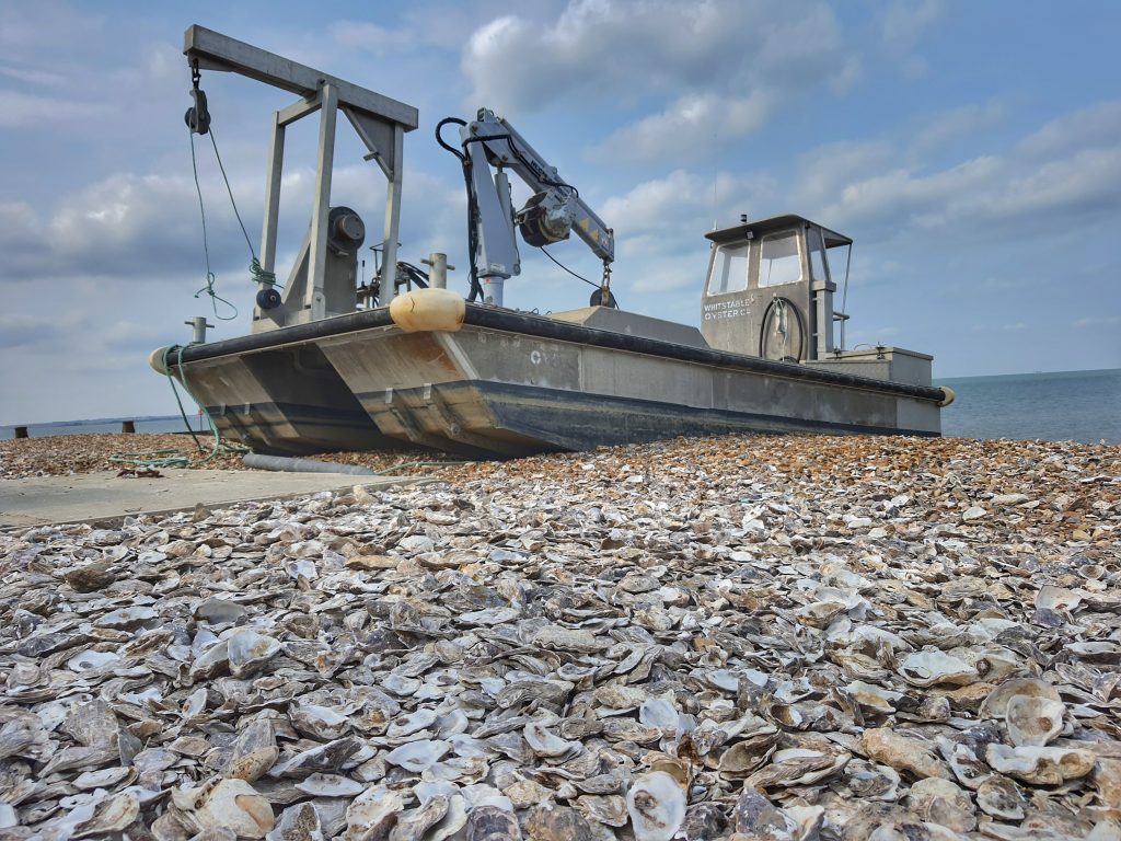 Even the beach at Whitstable is covered with oyster shells