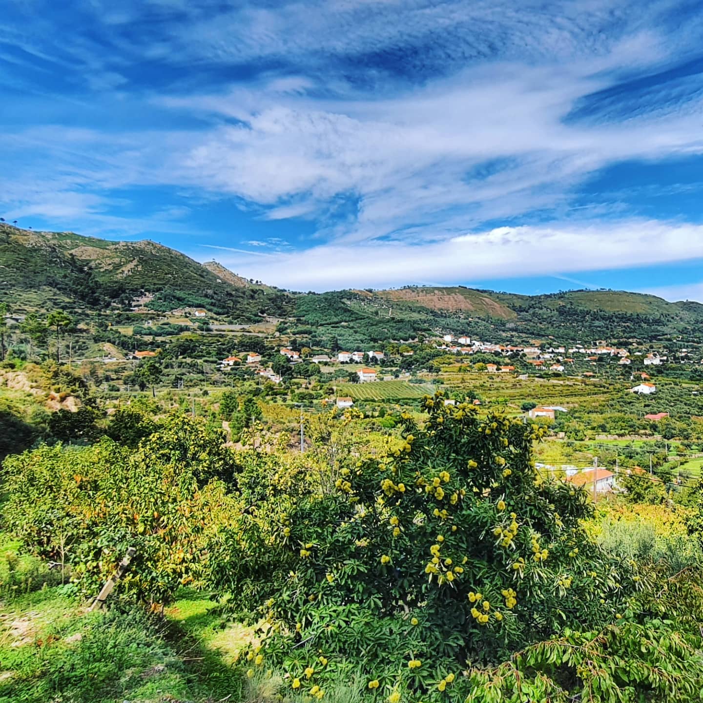 Views of the Castelo Branco region driving through Portugal