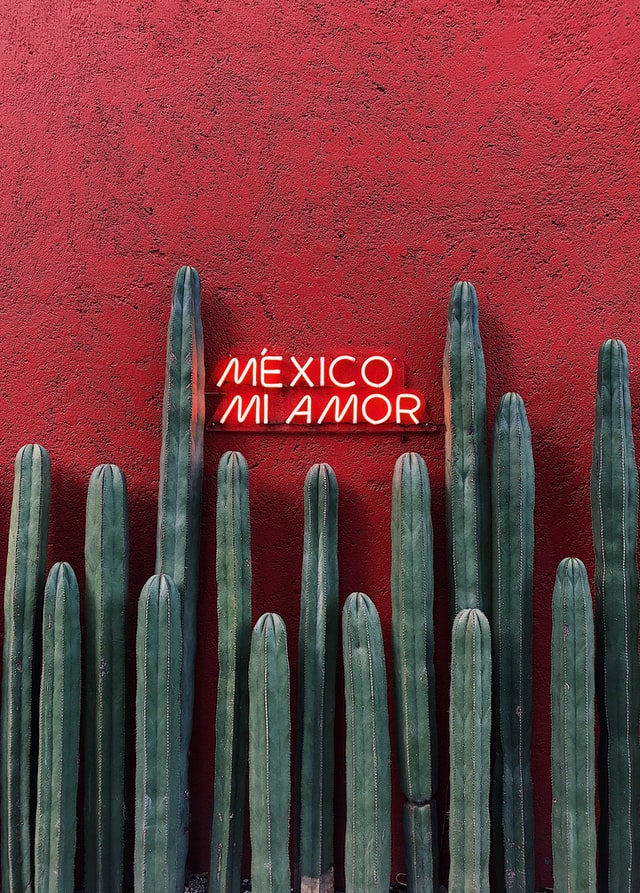 mexico mi amor nightlife sign