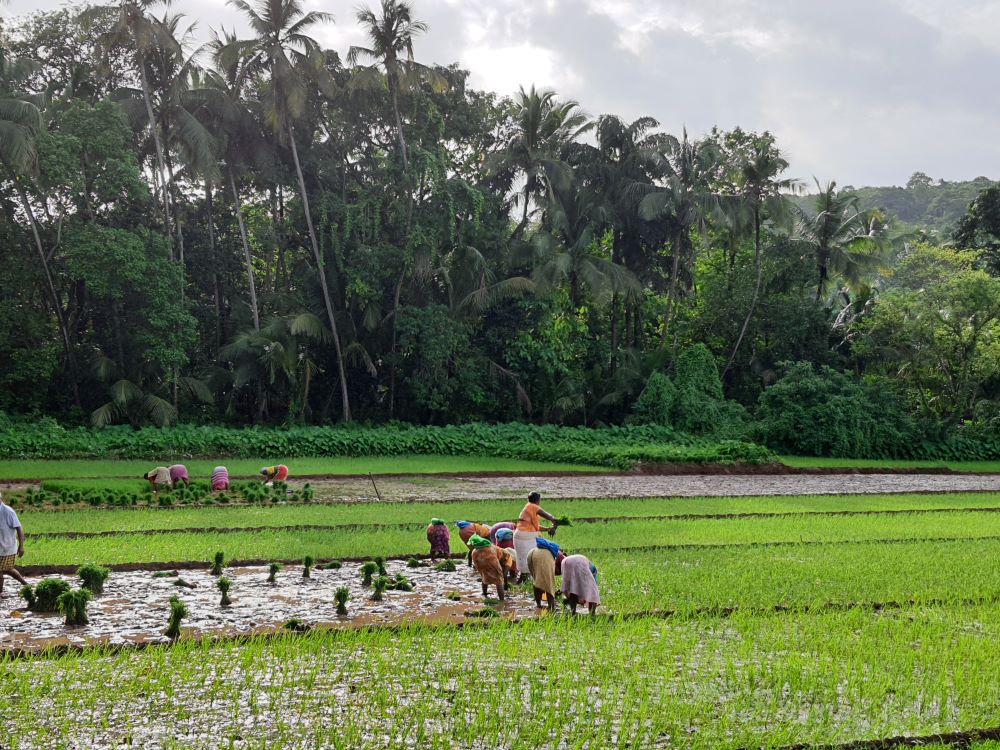 season tourism in goa