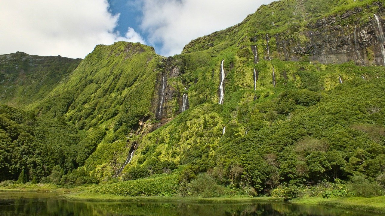 azores flores