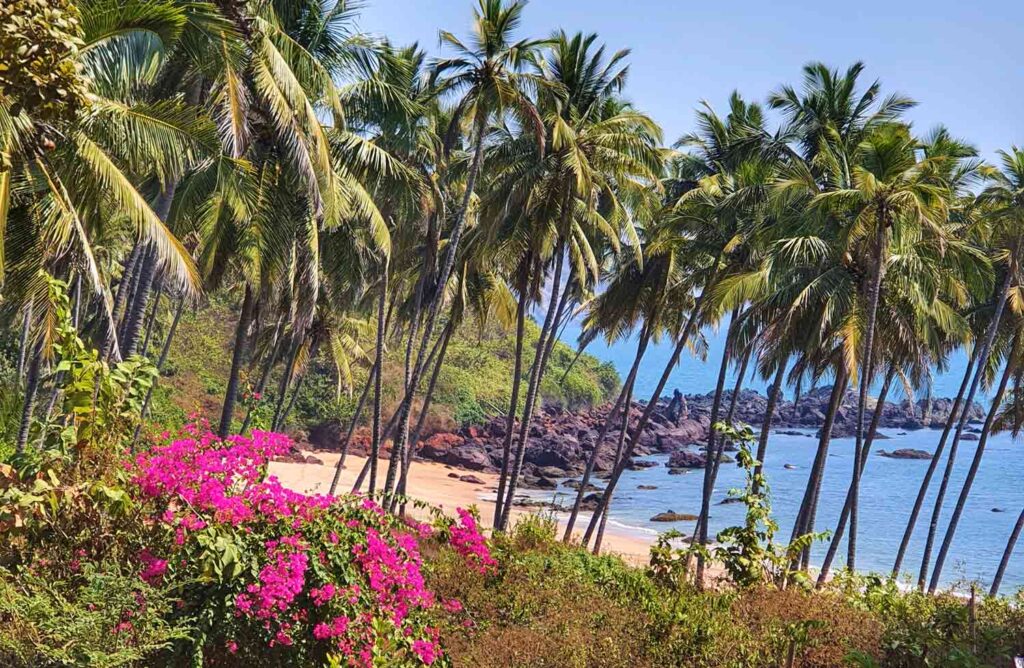 Goa Cola Beach