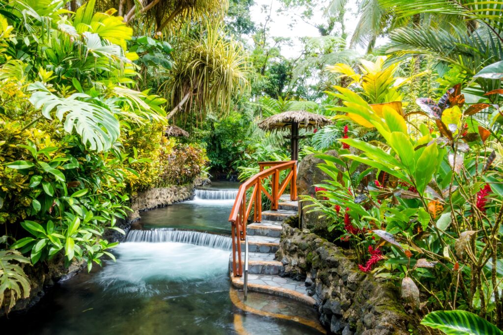 costa rica hot springs and jungle wellness retreat
