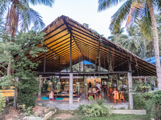 wonderland healing centre and yoga retreat koh phangan