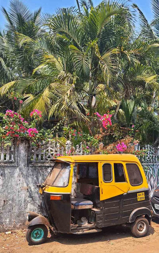 goa rickshaw pink flowers