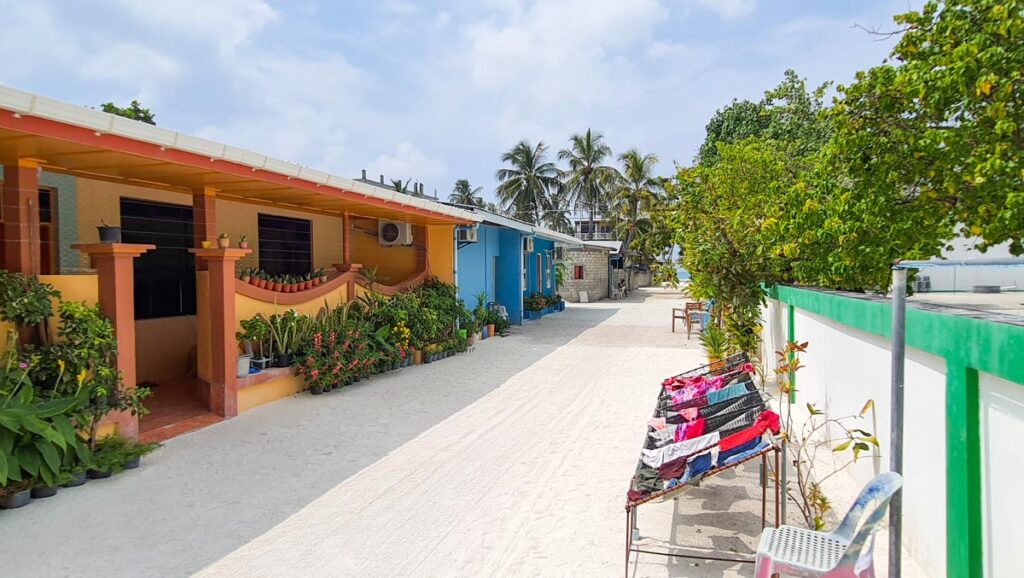local houses on dhiffushi island maldives