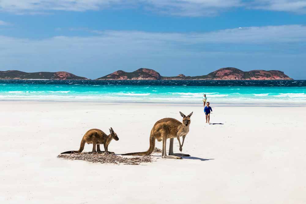 Kangaroo Island. An Australia bucket list destination