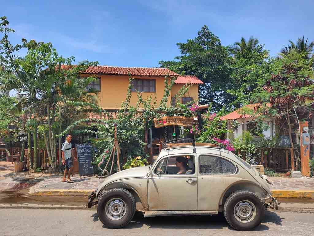 oaxaca beetle mexico