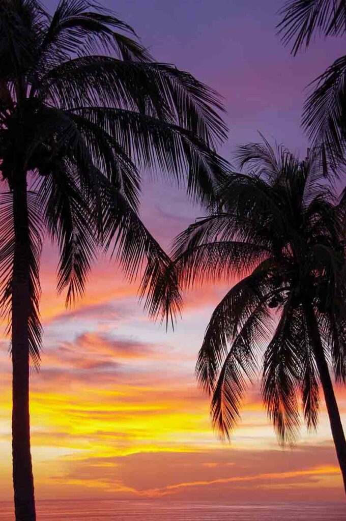 Puerto Escondido mexico sunset palm trees