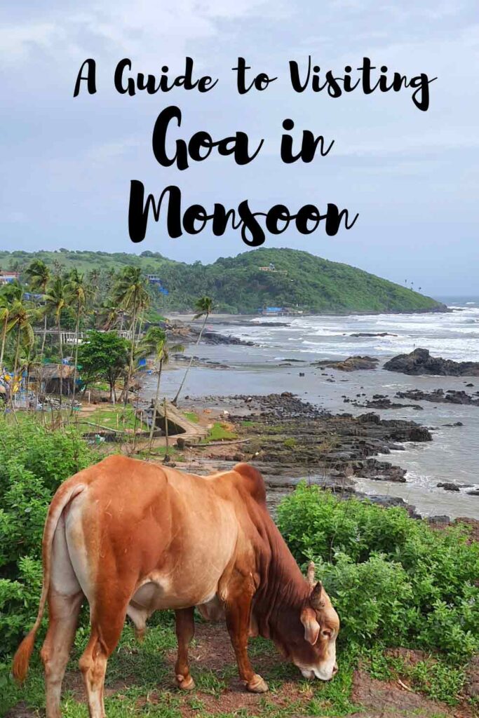A Guide to Visiting Goa in Monsoon
