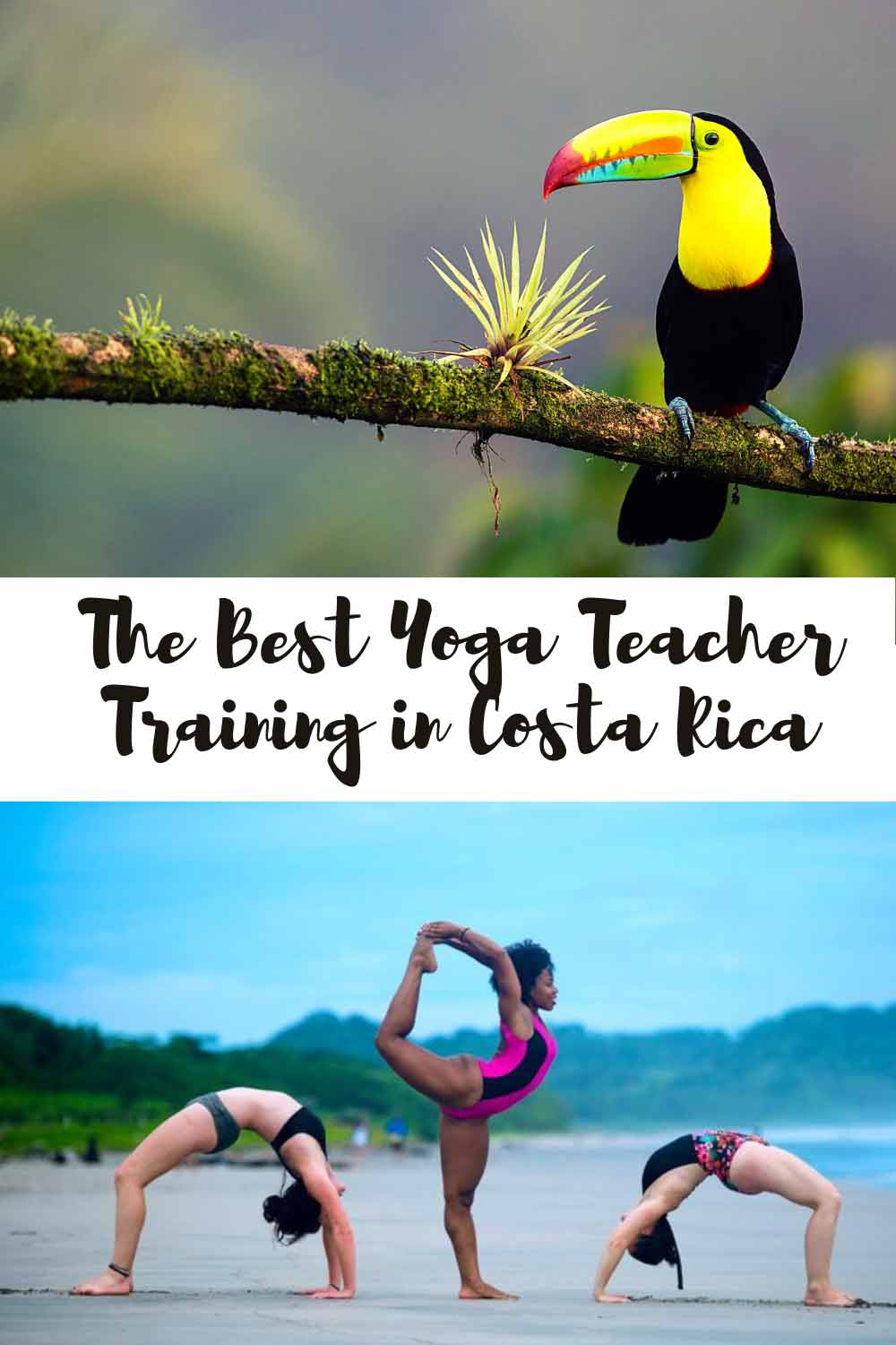 The Best Yoga Teacher Training in Costa Rica