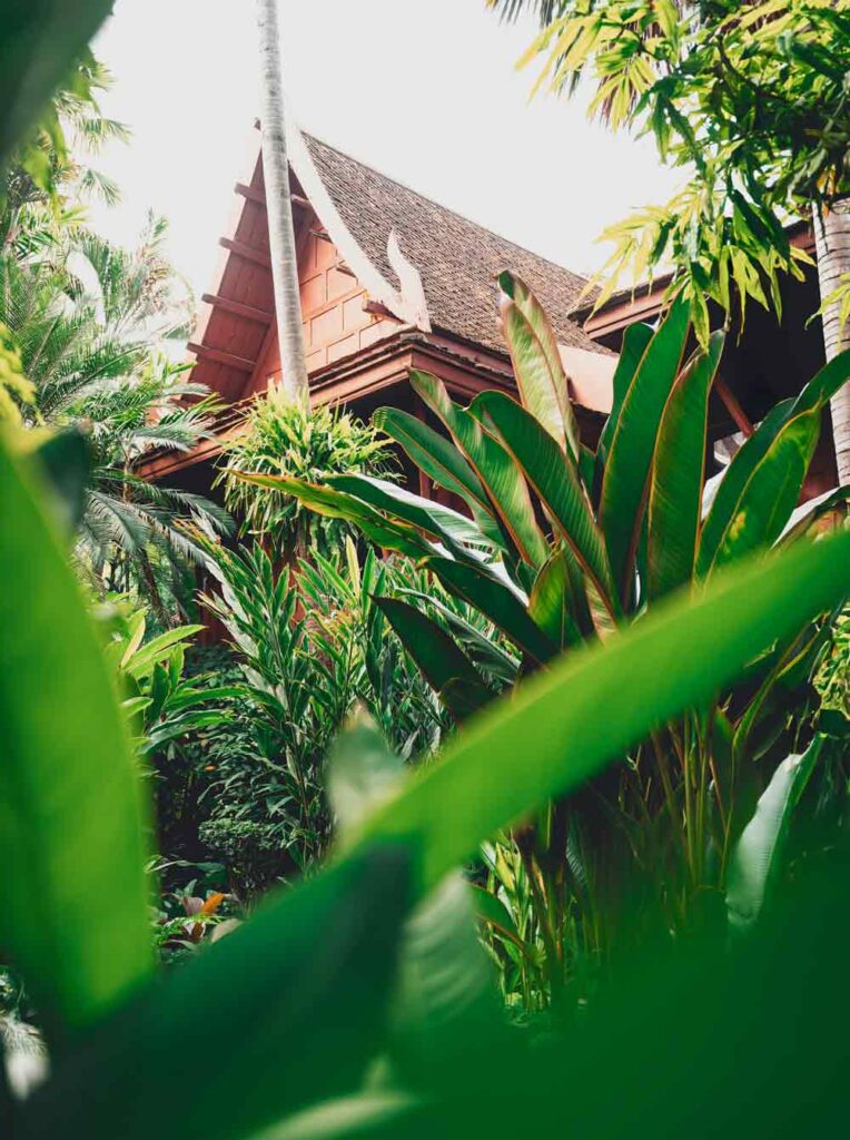Jim-Thompson-House-in-Bangkok-nature-1000-op