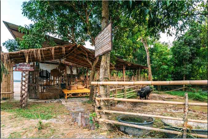 Phuket Nonnita Boutique Resort