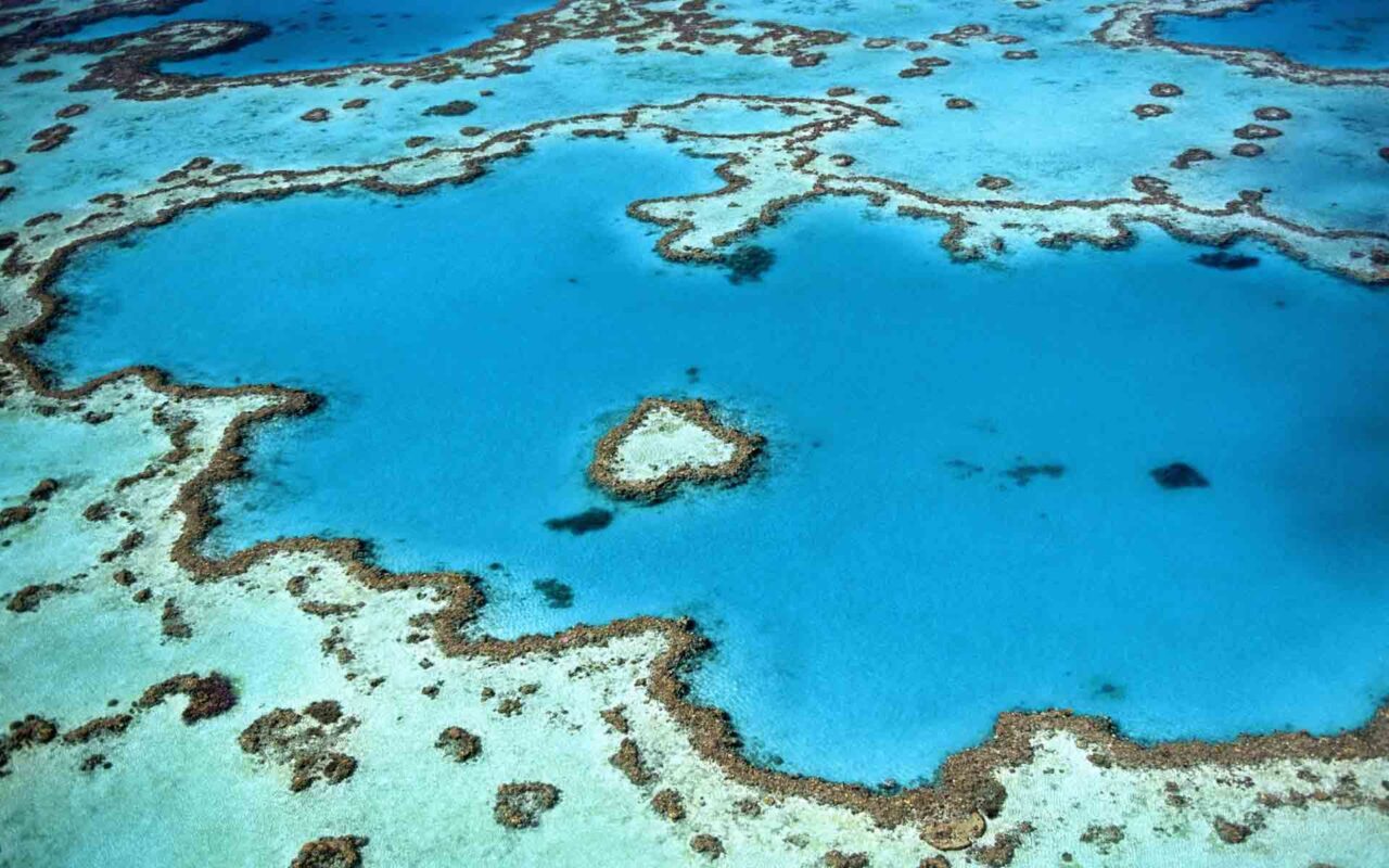 Australia Heart Reef photo by Yanguang Ian
