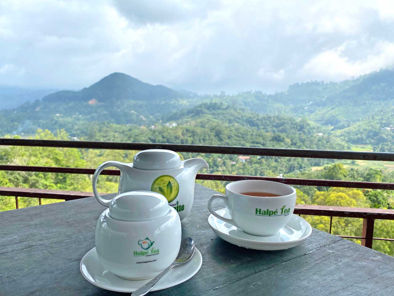 tea in ella sri lanka 