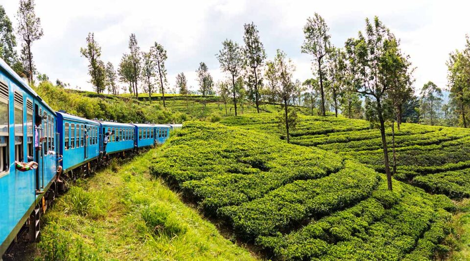 don't skip the famous train from your sri lanka itinerary