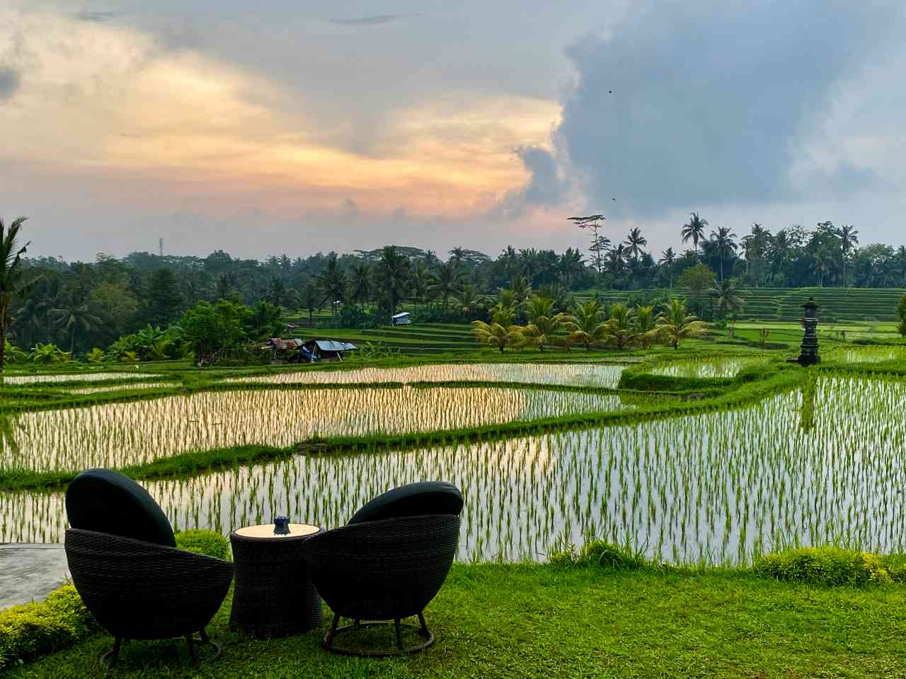 rainy rice terraces in bali 
