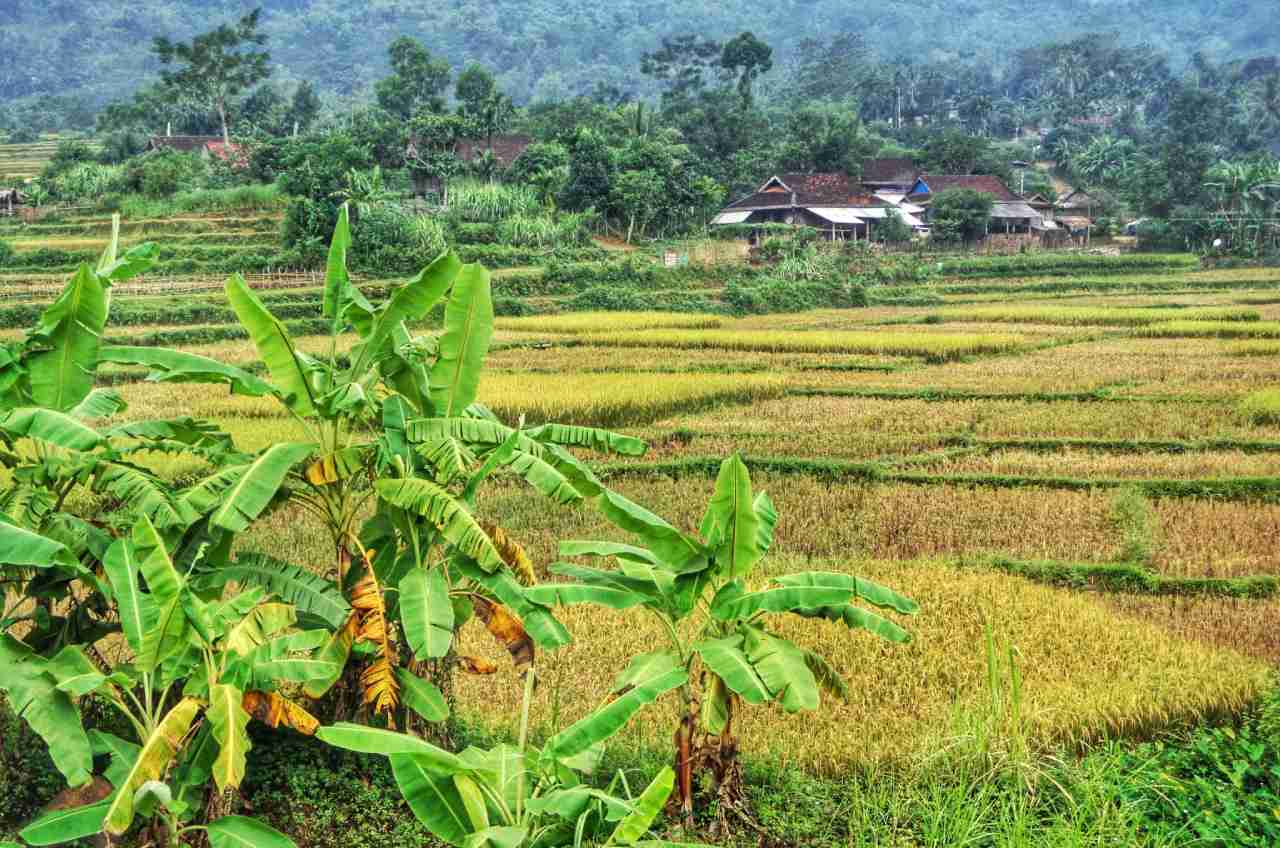 Hard life but idyllic countryside in Vietnam