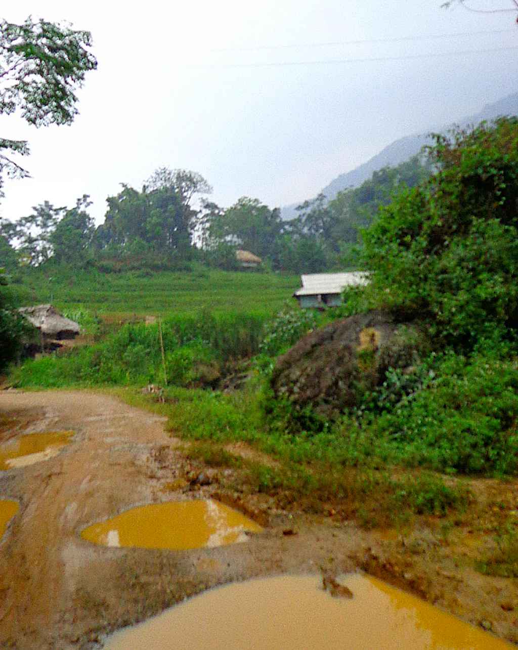 The state of the roads