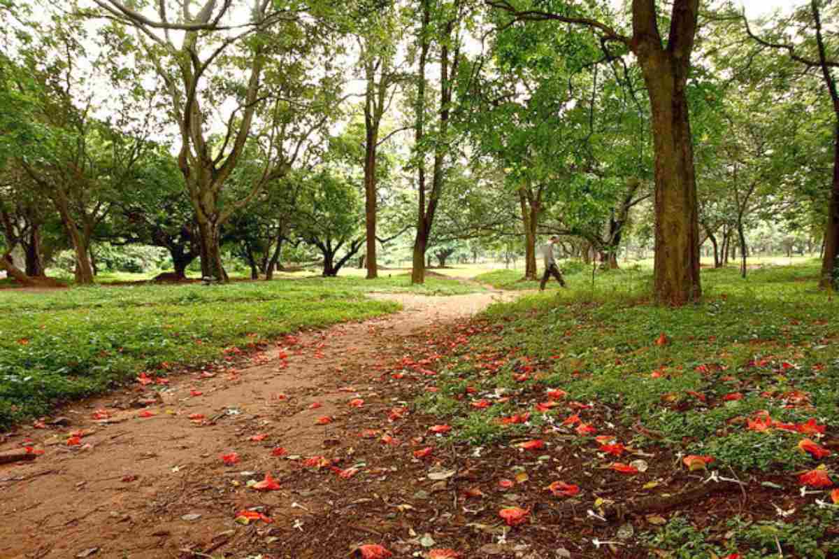 Cubbon Park, Bangalore