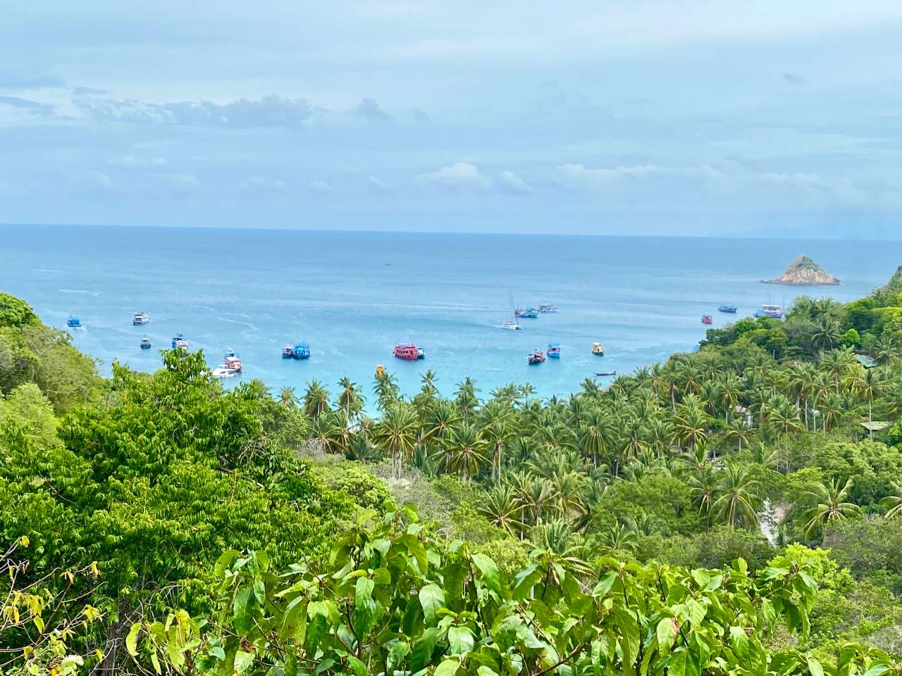 boats in a bay off koh tao