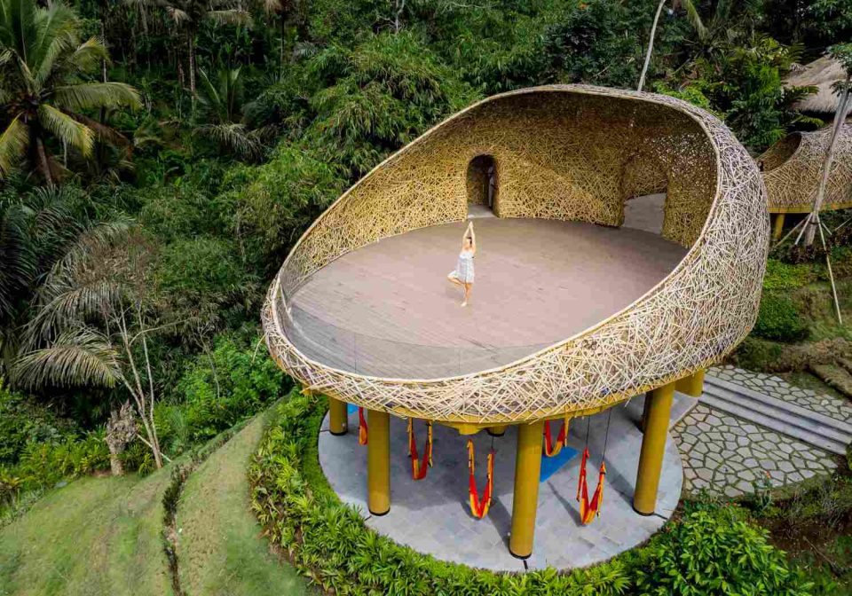 The best ubud yoga retreats. Photo by Hu Chen on unsplash.