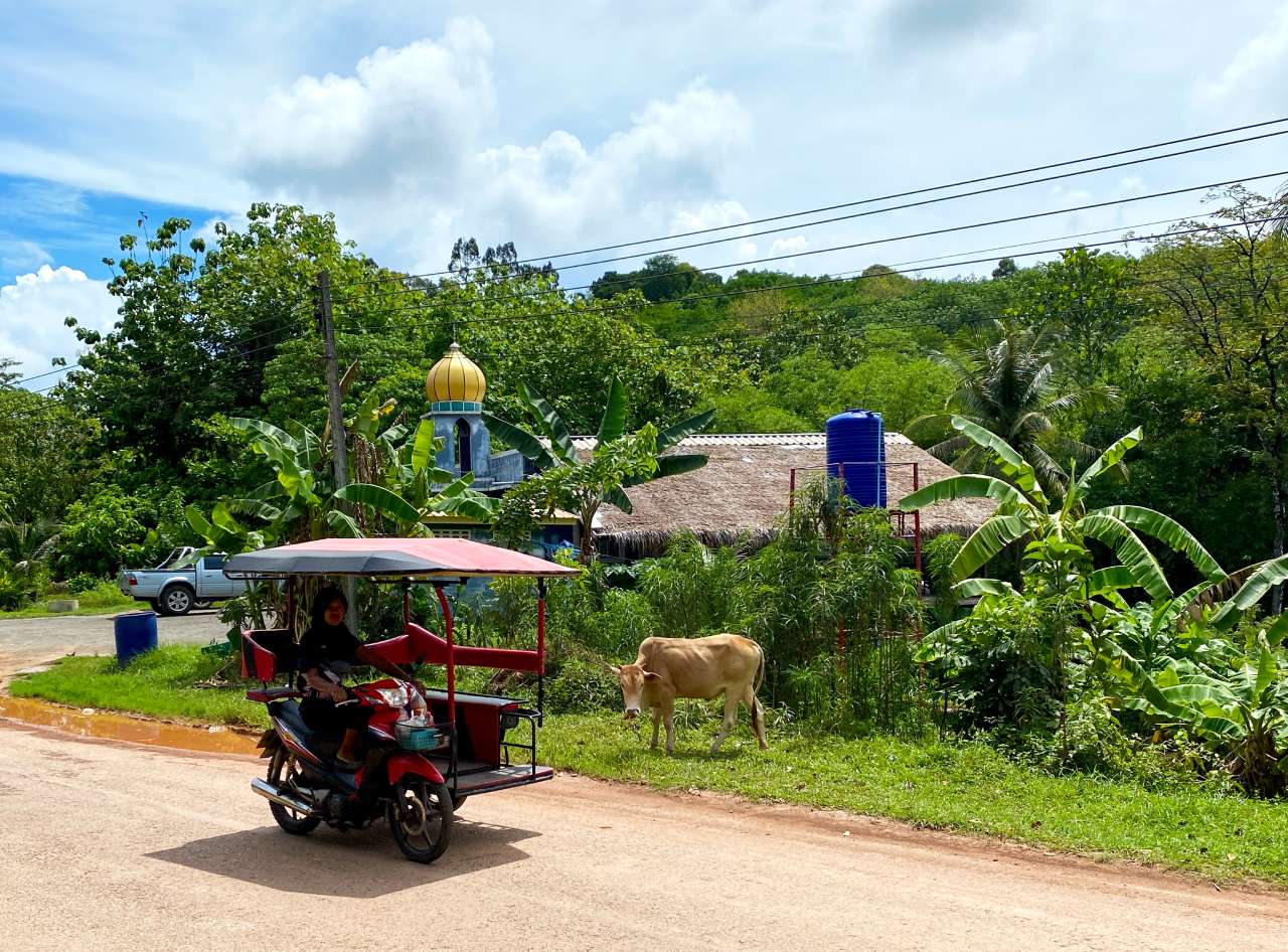 koh lanta mosque cow and tuk tuk