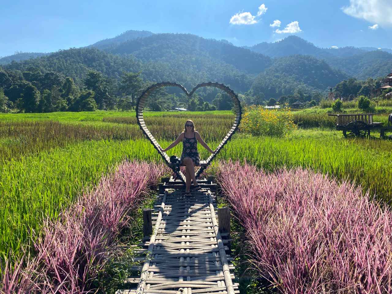 me in pai heart rice fields