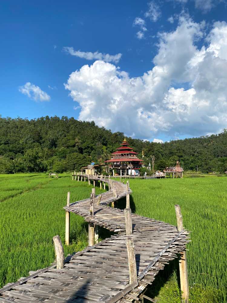 pai bamboo bridge