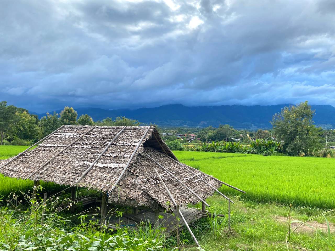 pai countryside OP