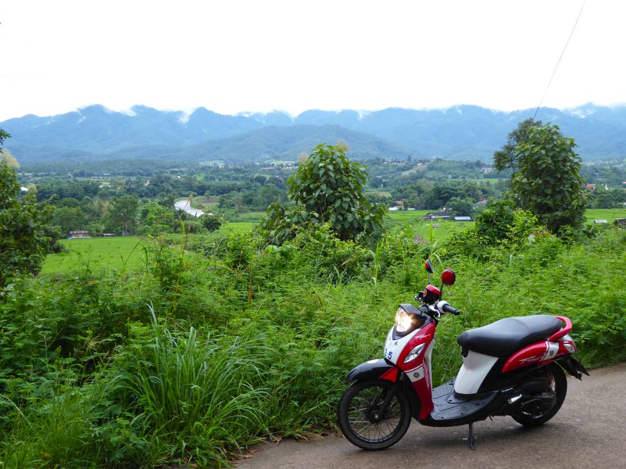scooter in pai OP