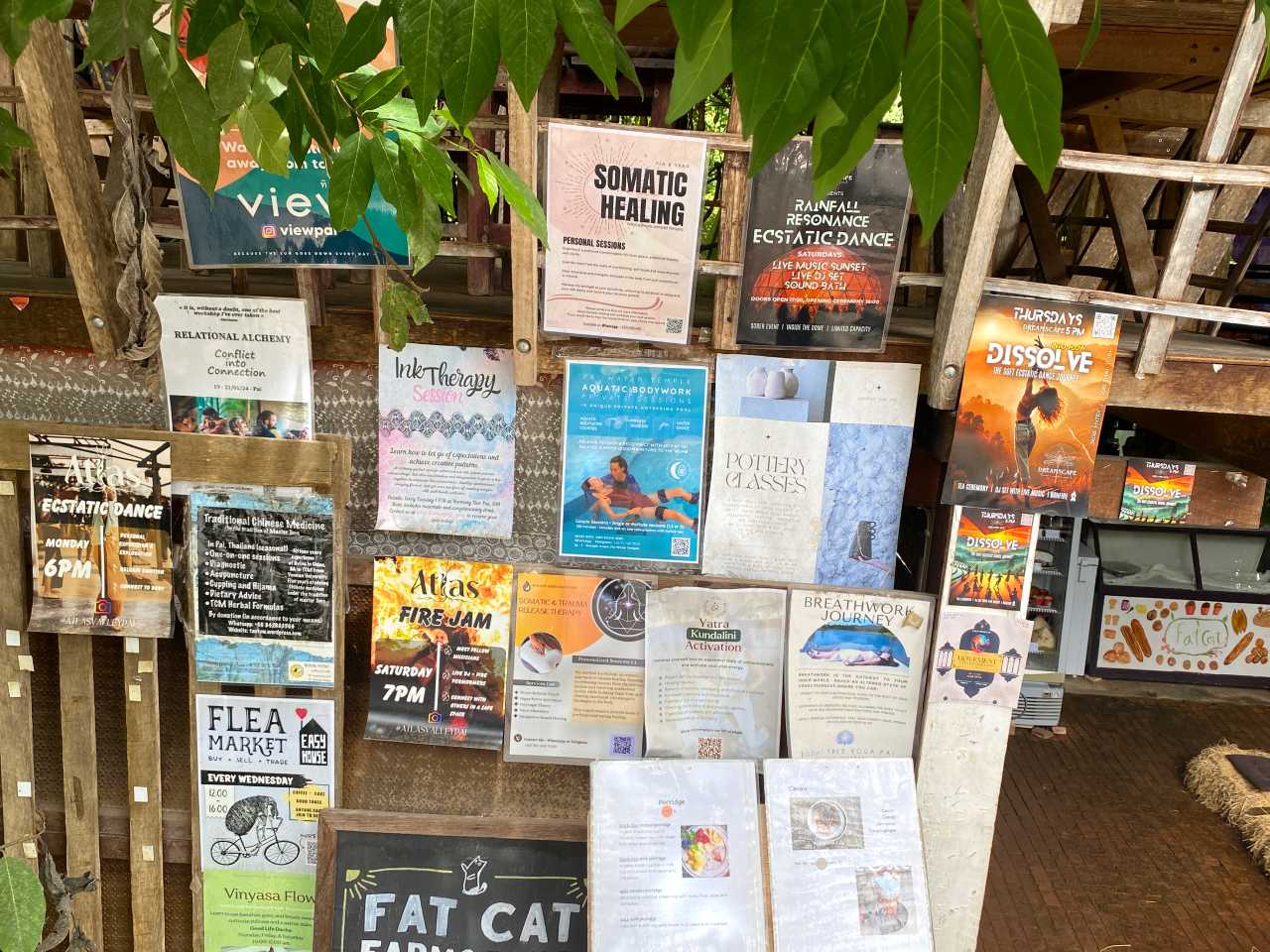 yoga and workshops in pai