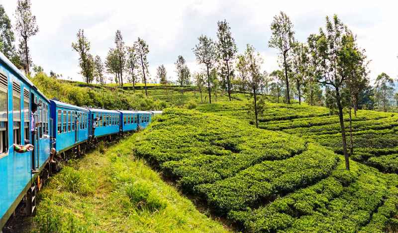 Train in Sri Lanka travel guide and itinerary